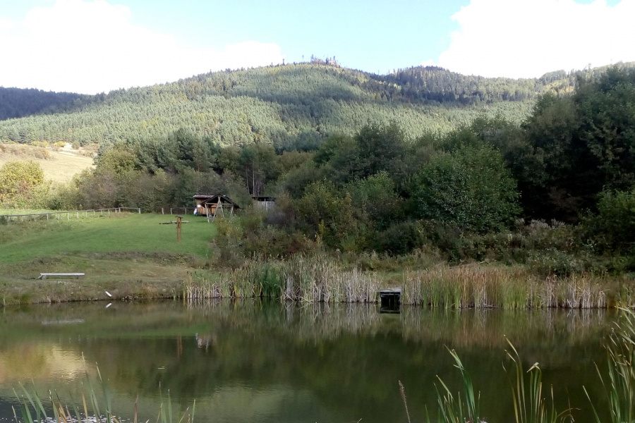 Dúbrava