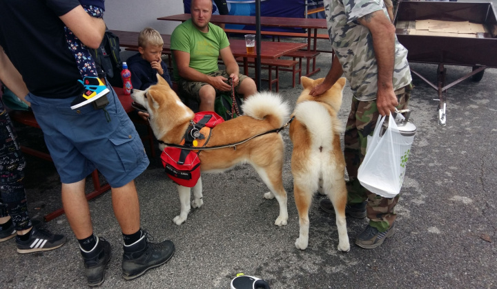 8. fotografia fotogalérie RAJTOPÍKY 2018