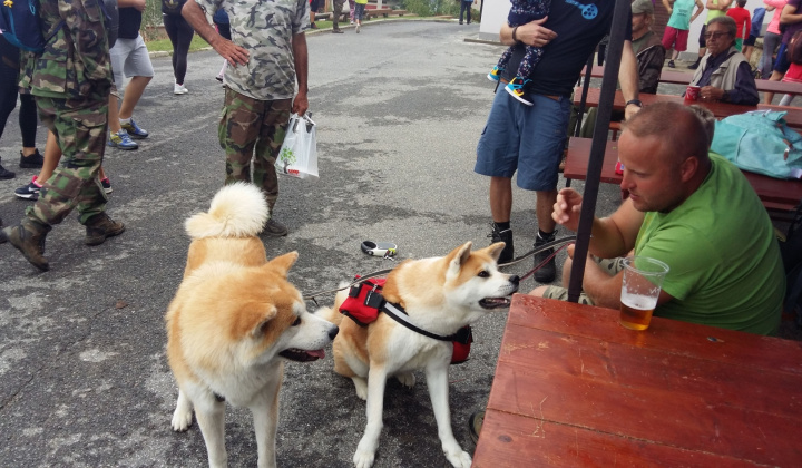 10. fotografia fotogalérie RAJTOPÍKY 2018