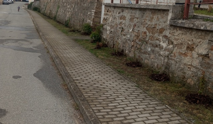 8. fotografia fotogalérie Aktuality / Dúbrava - Dubový háj - foto