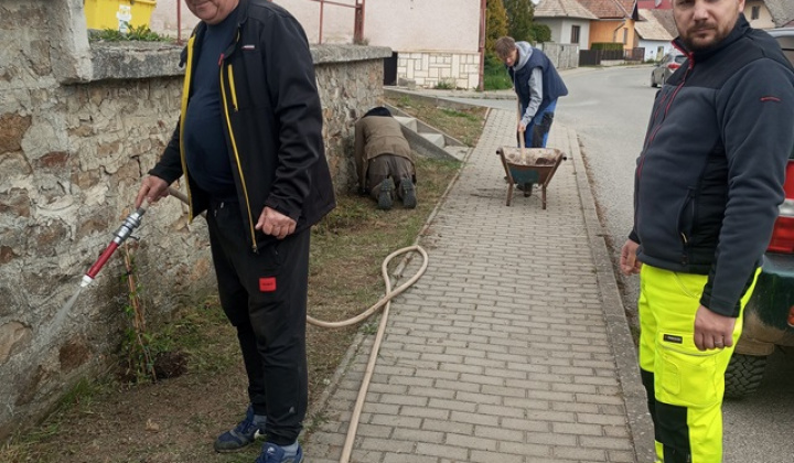 10. fotografia fotogalérie Aktuality / Dúbrava - Dubový háj - foto