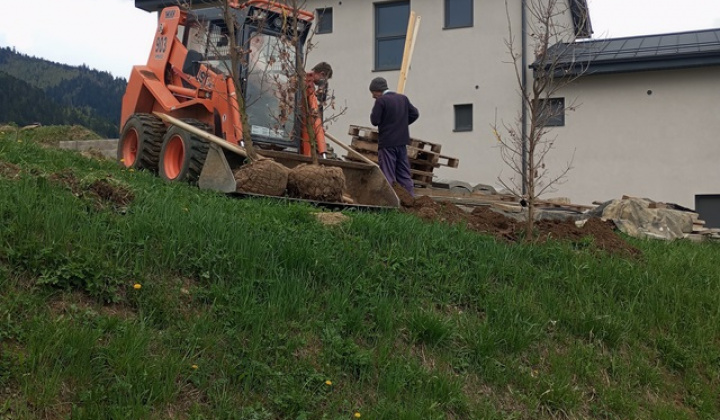 12. fotografia fotogalérie Aktuality / Dúbrava - Dubový háj - foto