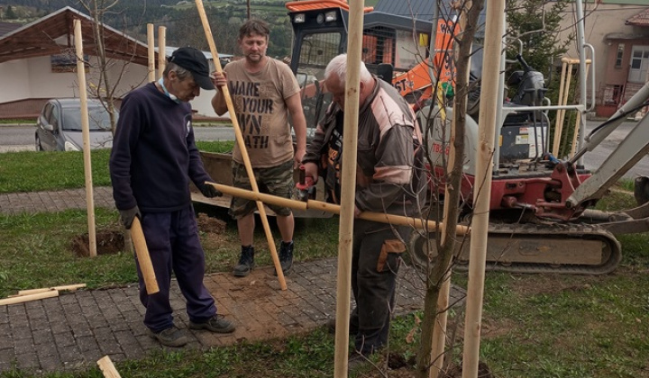 13. fotografia fotogalérie Aktuality / Dúbrava - Dubový háj - foto