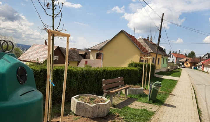 17. fotografia fotogalérie Aktuality / Dúbrava - Dubový háj - foto