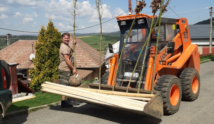 18. fotografia fotogalérie Aktuality / Dúbrava - Dubový háj - foto