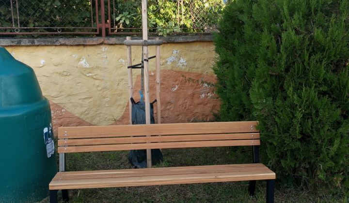 24. fotografia fotogalérie Aktuality / Dúbrava - Dubový háj - foto