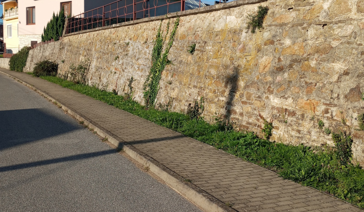 26. fotografia fotogalérie Aktuality / Dúbrava - Dubový háj - foto