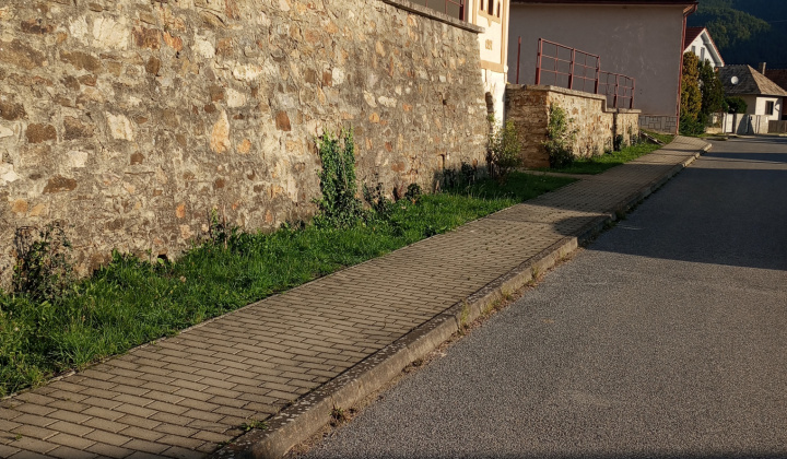 27. fotografia fotogalérie Aktuality / Dúbrava - Dubový háj - foto