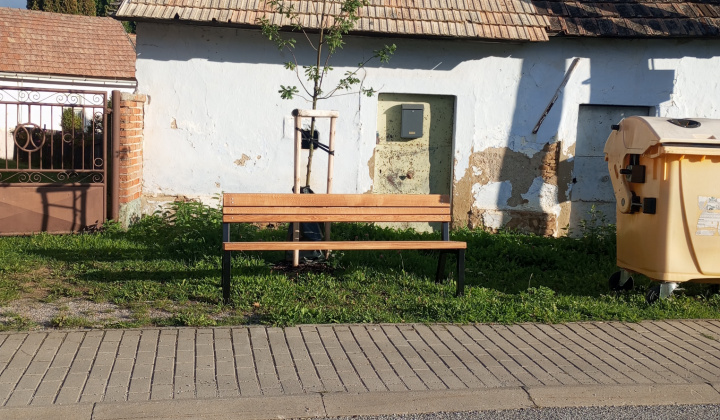 31. fotografia fotogalérie Aktuality / Dúbrava - Dubový háj - foto