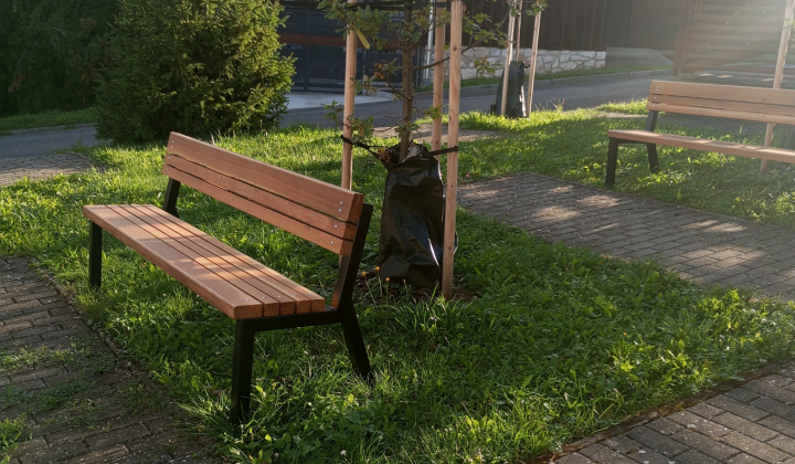 33. fotografia fotogalérie Aktuality / Dúbrava - Dubový háj - foto