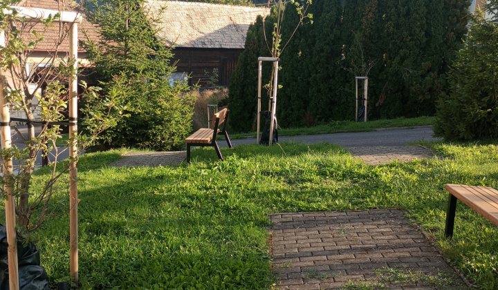 35. fotografia fotogalérie Aktuality / Dúbrava - Dubový háj - foto