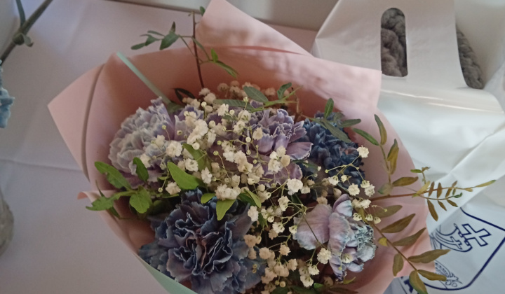 13. fotografia fotogalérie Deň starších 2025